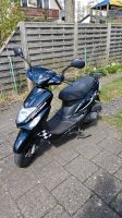 2x Alpha Motors City Leader Scooter Roller Niedersachsen - Wietzendorf Vorschau