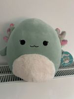 Squishmallow Chasmen 36 cm Axolotl neu inkl Etikett Bayern - Cham Vorschau