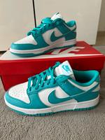 Nike Dunk Low Next Nature Dusty Cactus Gr. 40, NEU und OVP Rheinland-Pfalz - Kirchheimbolanden Vorschau