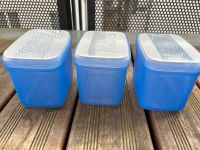 3 Swing-Boxen 1 Liter von Tupperware, blau Frankfurt am Main - Nieder-Eschbach Vorschau