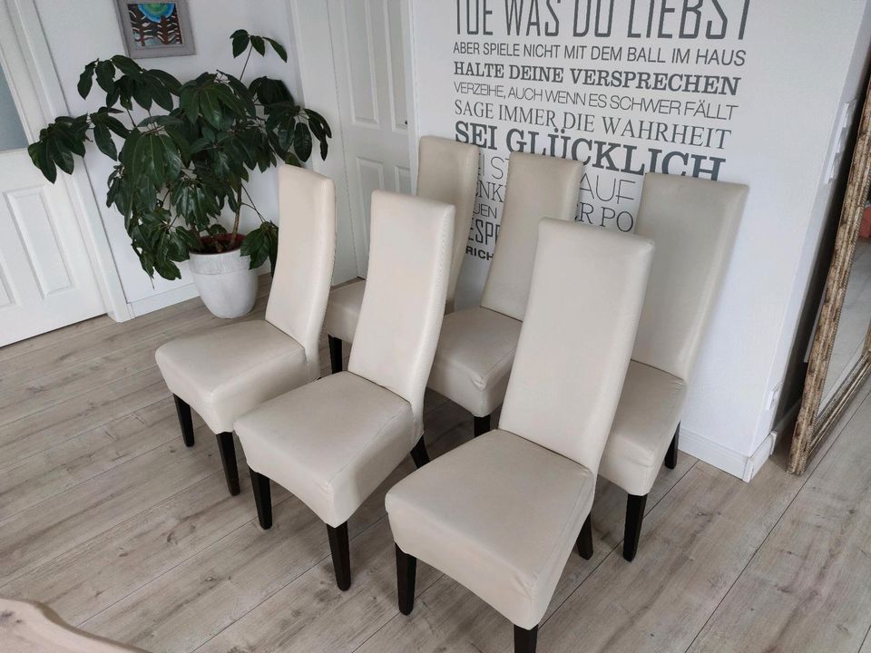 Stühle aus Kunstleder in Steinheim
