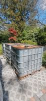 3x IBC Container, Wassertank Wandsbek - Hamburg Bramfeld Vorschau