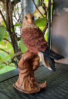 Adler, Greifvogel Figur auf Handschuh Dekoration Bayern - Zirndorf Vorschau