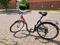 Fahrrad Damenrad Damen Citybike Brandenburg - Hoppegarten Vorschau