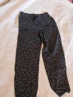 GR 146 H&M Tiger design Hose grau schwarz Bayern - Nittendorf  Vorschau