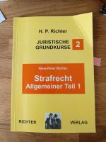 Buch Jura Strafrecht Allgemein Teil 1 Richter Hamburg-Nord - Hamburg Eppendorf Vorschau