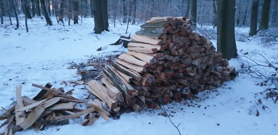 Regionales Brennholz trocken ofenfertig inkl. Lieferung in Salzhemmendorf