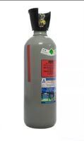 CO2 Steigrohrflasche 10 kg Trockeneis E290 Soda Ice-Chiller Niedersachsen - Ganderkesee Vorschau