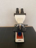 Hund Wetzlar Mikroskop Hessen - Obertshausen Vorschau