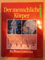 10 Bücher, Buchreihe "Das Wissen unserer Zeit" Baden-Württemberg - Waldbronn Vorschau