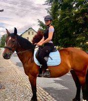 Verschmuste Stute sucht Reitbeteiligung Sachsen - Obergurig Vorschau