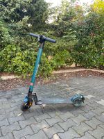 3x E Scooter Soflow/Trektstor/Eeccoo Nordrhein-Westfalen - Gelsenkirchen Vorschau