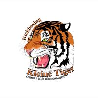 Die kleinen Tiger - Kickboxen für Kids von 4 bis 6 Jahren Nordrhein-Westfalen - Lüdinghausen Vorschau