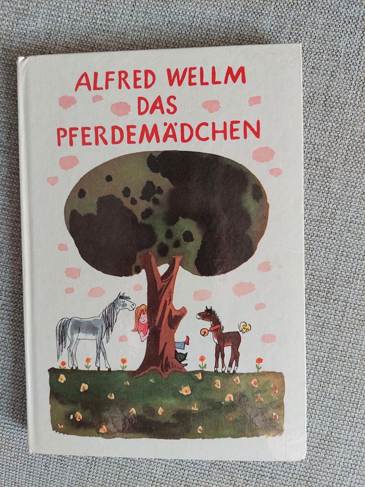 Das Pferdemädchen, Buch, DDR, A. Wellm in Ludwigslust