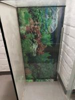 Aquarium/Terrarium Duisburg - Walsum Vorschau