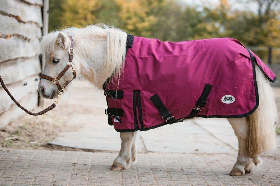 Neue ungefütterte Shetty/Pony 70cm-100cm Regendecken/Outdoordecke in Heide