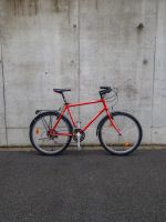 Raleigh Bepop 26“ Retro MTB Commuter Citybike Stadtrad Pendlerrad Bayern - Coburg Vorschau