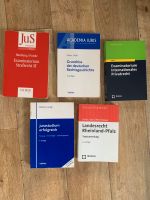 Bücher Jura Studium ab 5 Euro Rheinland-Pfalz - Mainz Vorschau