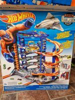 Hot wheels Bahn Schwachhausen - Neu Schwachhausen Vorschau