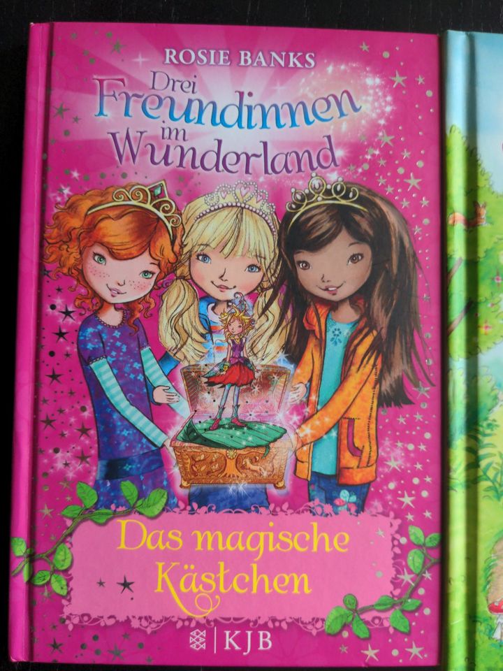 3x Buch Siri Glitzerstern 3 Freundinnen im Wunderland Mia and me in Hohenpeißenberg