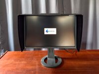 EIZO ColorEdge CG223W Profi-Monitor+Spyder3 Bremen - Horn Vorschau