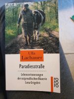 Buch von Ulla Lachauer: Paradiesstrasse Thüringen - Mühlhausen Vorschau
