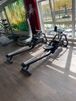 Top! Matrix Rower Rudergerät Ruderergometer Technogym Concept2 Hessen - Dillenburg Vorschau