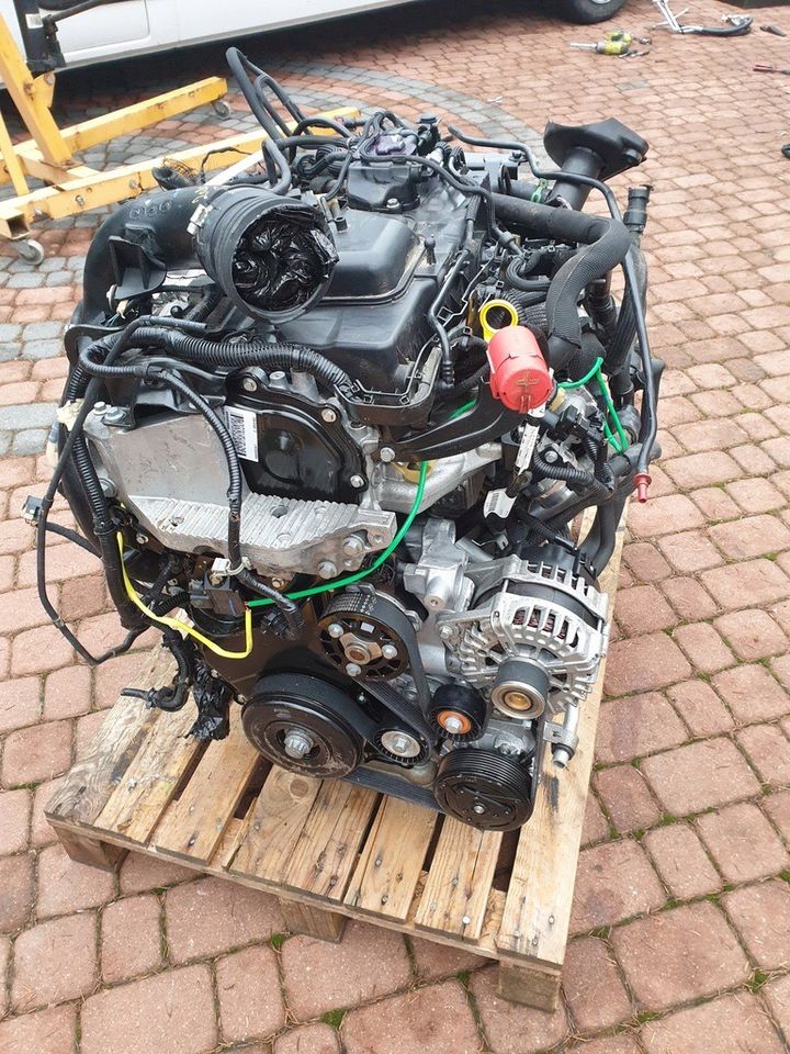 Motor Renault Master III 2.3 EU6 M9T716 180PS bj22 Komplett in Waldalgesheim