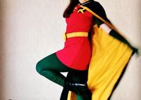 Female Robin Cosplay Kostüm dc Batman Niedersachsen - Müden Vorschau