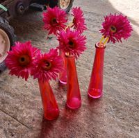 4 pinke Glasvasen mit pinken Kunstblumen Deko Blumen Vasen Hude (Oldenburg) - Nordenholz Vorschau