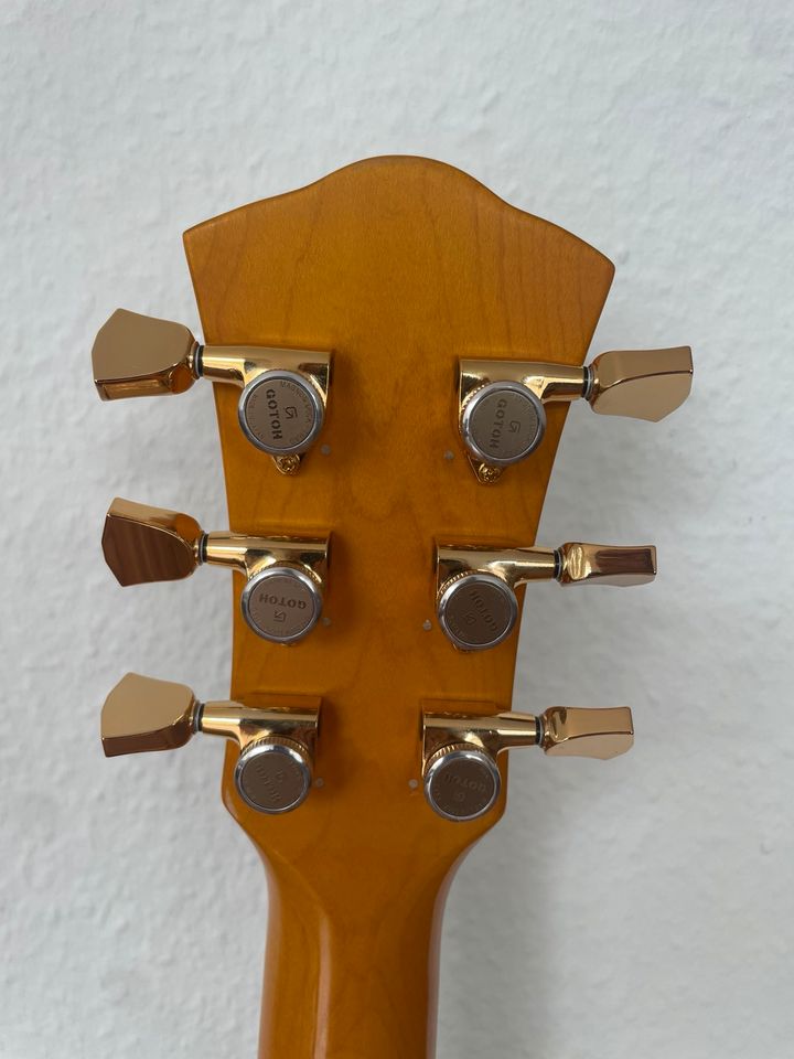 Johnson Les Paul Style E-Gitarre in Bargteheide
