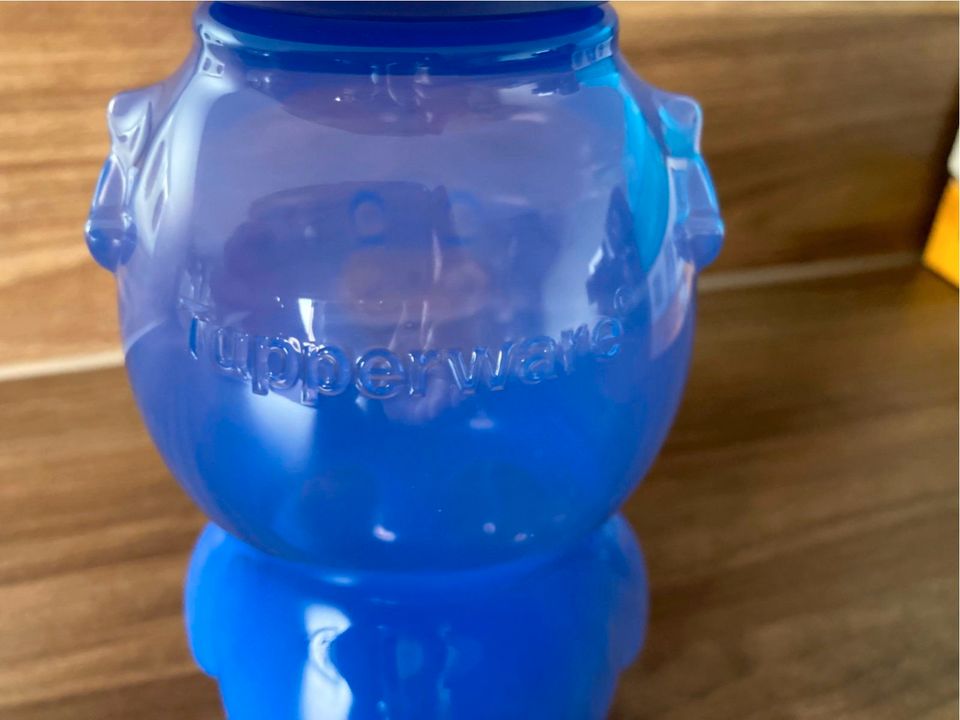 Neu! Kindertrinkflasche, lila, Tupper, 350 ml in Bühlerzell