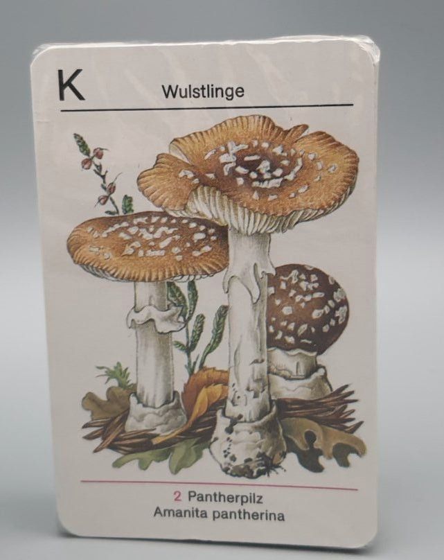 Vintage, Pilze kennen, Pilze sammeln Altenburger Spielkarten in Hamburg