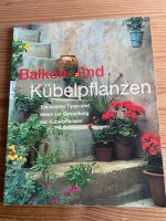 Buch Gartenratgeber “Balkon und Kübelpflanzen” Schleswig-Holstein - Borgstedt Vorschau