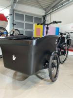 TrioBike Boxter Mid Drive +Sitz für 2 Kids Nordrhein-Westfalen - Gelsenkirchen Vorschau