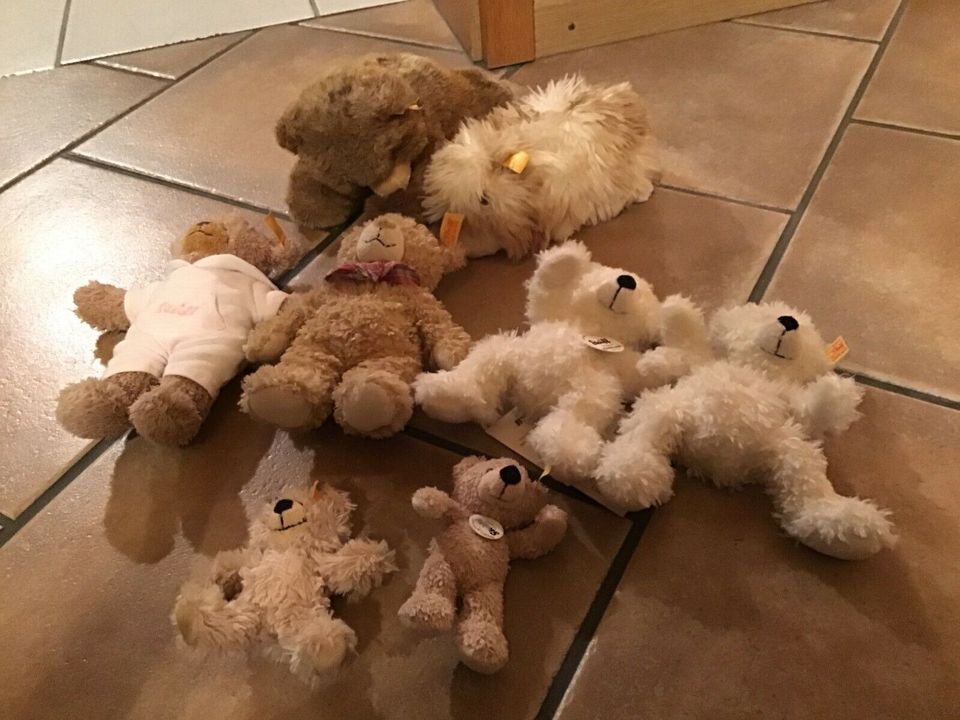 Steiff Teddybären  ab 5 Euro in Reppenstedt