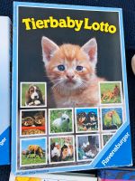 Tierbaby Lotto Kinderspiel Tiere Katze Hund Nordrhein-Westfalen - Brakel Vorschau