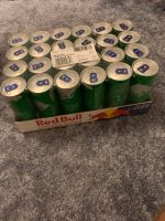 Red Bull Energy Drink (Summer Edition) Kaktusfrucht 24er Berlin - Schöneberg Vorschau