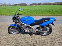 Honda CB1 NC27. Kultbike. Nordrhein-Westfalen - Versmold Vorschau