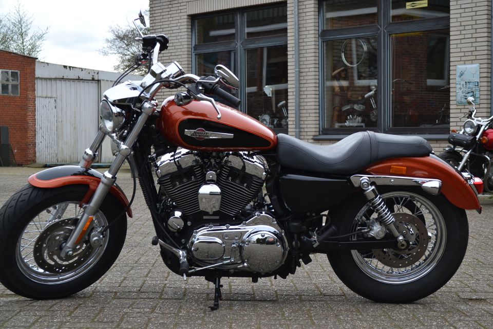 Harley Davidson Sportster XL1200C Custom in Papenburg