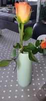 4 Blumenvasen der Marke ASA in lindgrün, azurblau Dresden - Briesnitz Vorschau