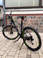 Mountainbike Leader Fox Brandenburg - Wittstock/Dosse Vorschau
