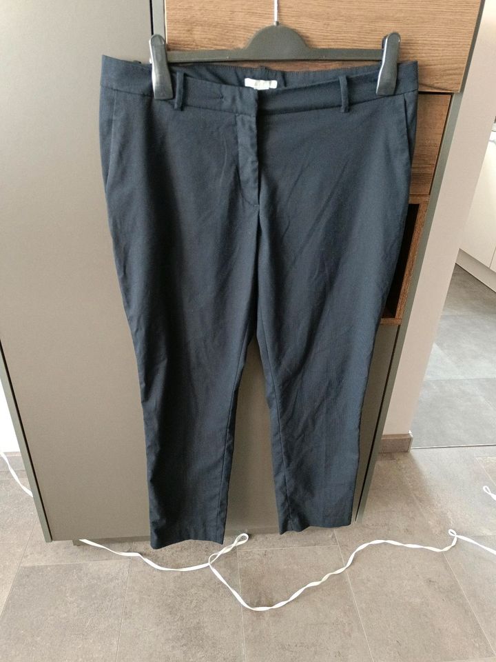 Business Hose Sommerhose gr 44 blau in Sankt Augustin