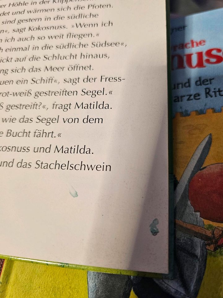 Kinderbücher Drache Kokosnuss in Werl