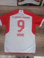 Trikot Bayern Saarland - Quierschied Vorschau