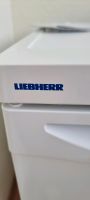 Kühlschrank mit Gefrierfach, klein,weiß, Liebherr Leipzig - Altlindenau Vorschau