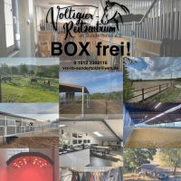 Pferdebox zu vermieten Stall frei Box frei Pensionsstall Nordrhein-Westfalen - Gevelsberg Vorschau
