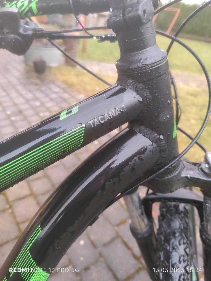 Mountainbike, MTB, Jugend Mountainkike, Größe L, Ghost,29Zoll in Hayingen
