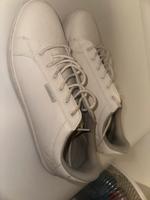 Jacken Jones Schuhe Herren Rheinland-Pfalz - Bobenheim-Roxheim Vorschau