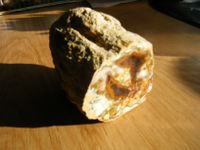 Versteinertes Holz, Rohstein, Mineralien, Deko Rheinland-Pfalz - Idar-Oberstein Vorschau